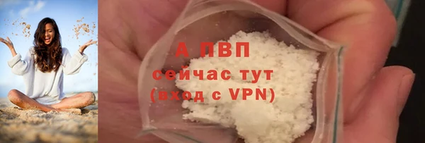 гидра Киренск