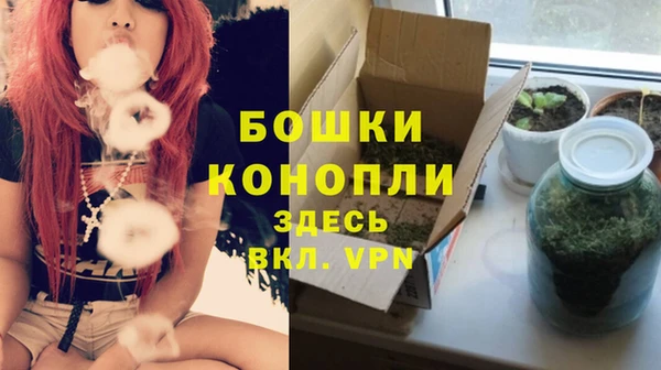 гидра Киренск